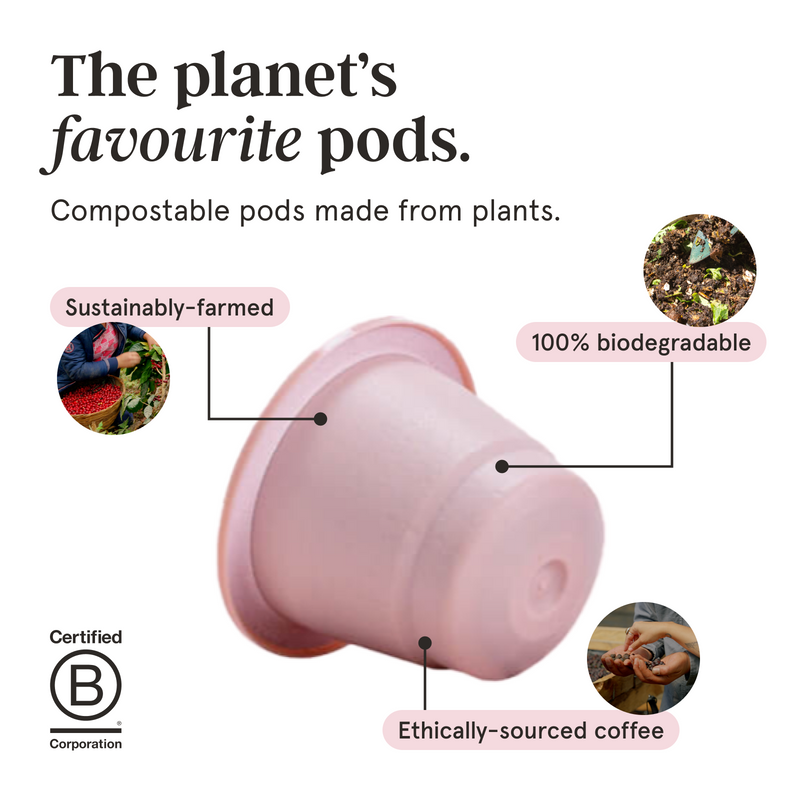 Flavour Bundle - 80 Pods image