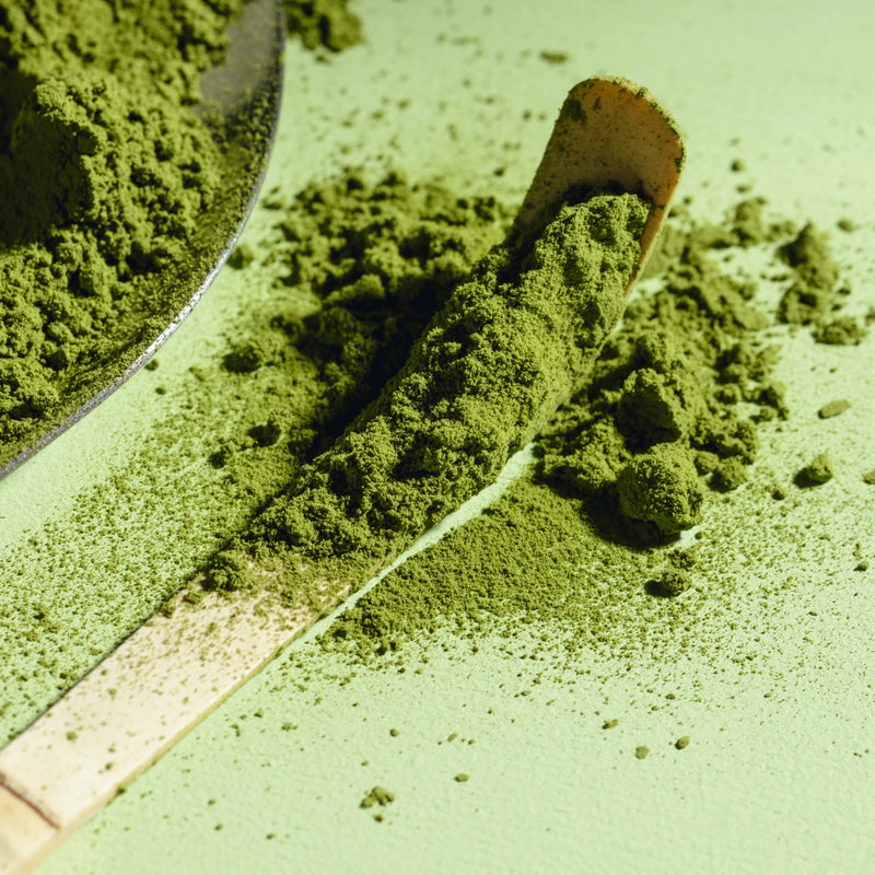 Matcha Powder Refill Pouch 30g image